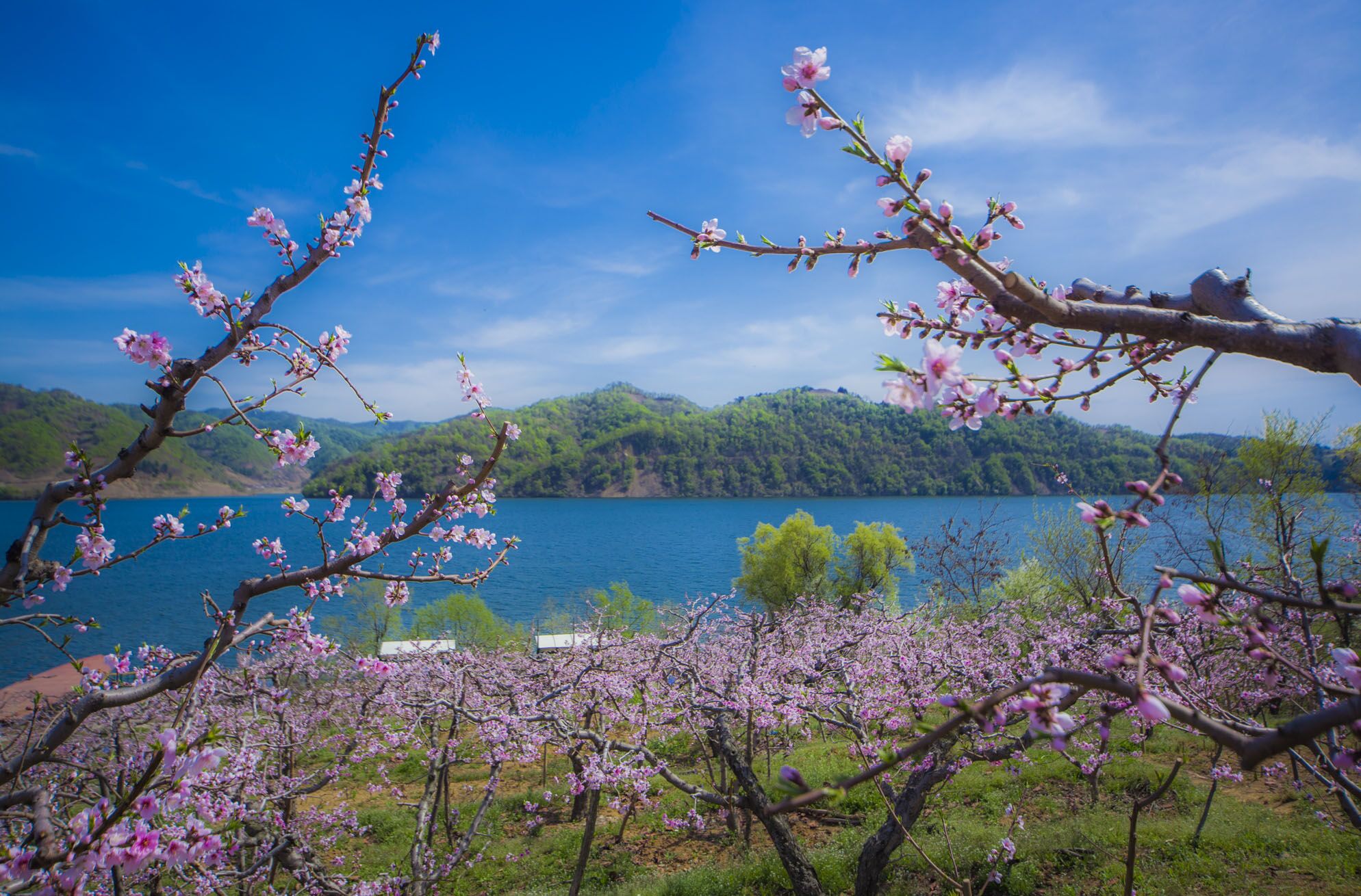 宽甸河口景区图片