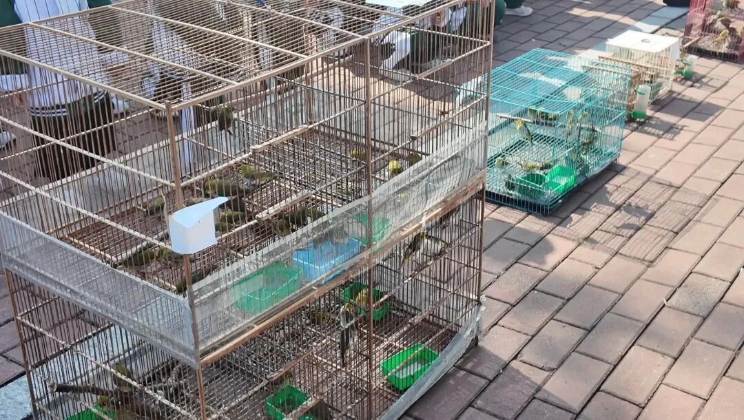 微信图片_2026-10-19_084833_427.jpg 微信图片_2026-10-19_084833_427.jpg