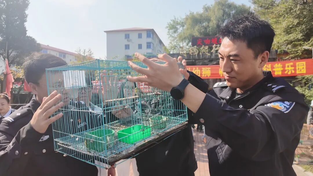 微信图片_2026-10-19_084850_069.jpg 微信图片_2026-10-19_084850_069.jpg