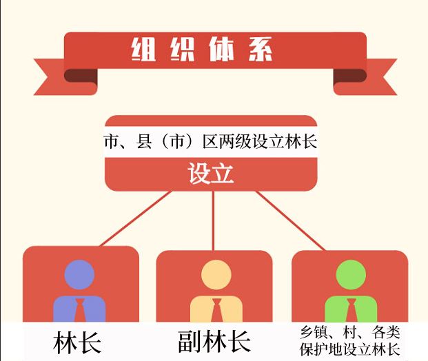 图解丹东市全面推行林长制实施方案