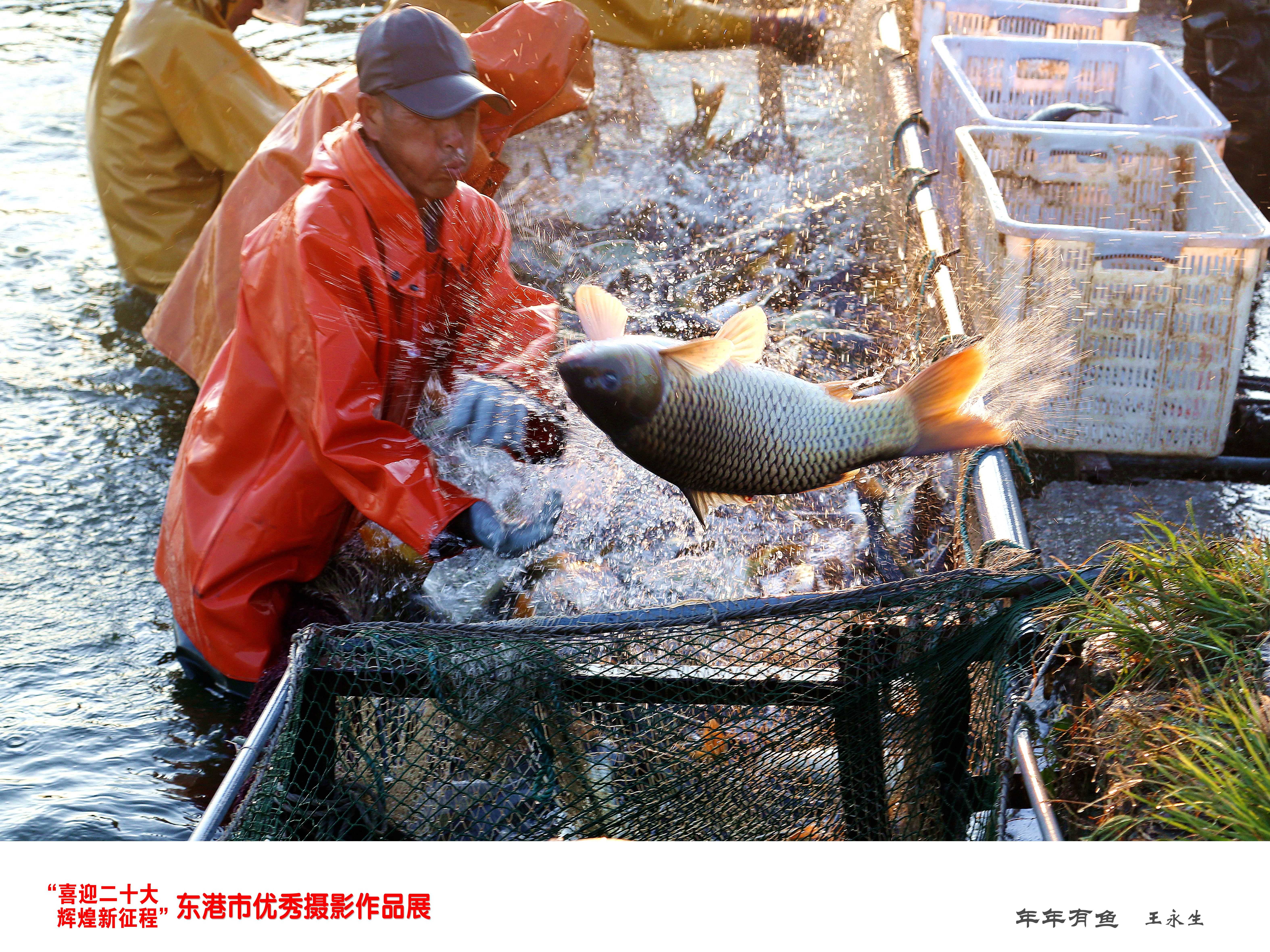 年年有魚     王永生_副本_副本.jpg