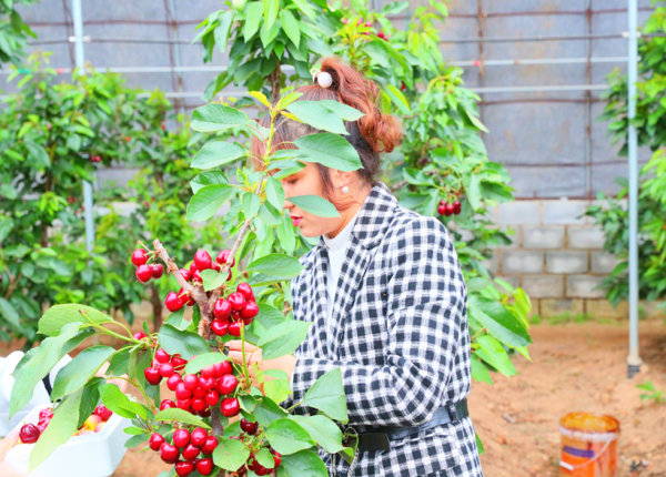 微信圖片_20250503202530_conew1.png