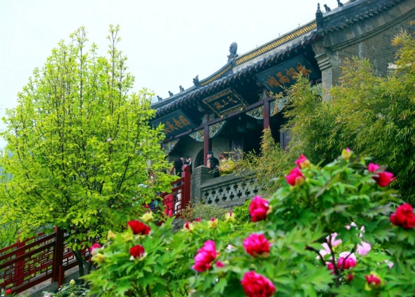 微信圖片_20250515171305_conew1.jpg